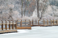 Frozen Boardwalk